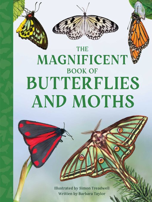 Title details for The Magnificent Book of Butterflies and Moths by Barbara Taylor - Available